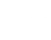 tikt